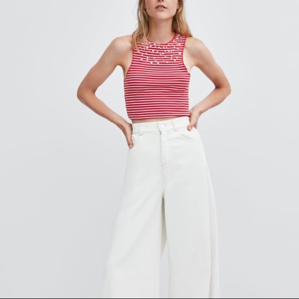 Zara Stripped Crop Top